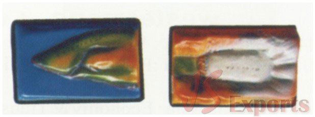GEOMOPHOLOGY MODELS